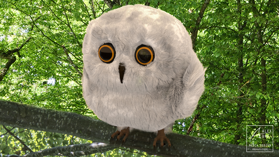 Baby-Owl in the Woods
